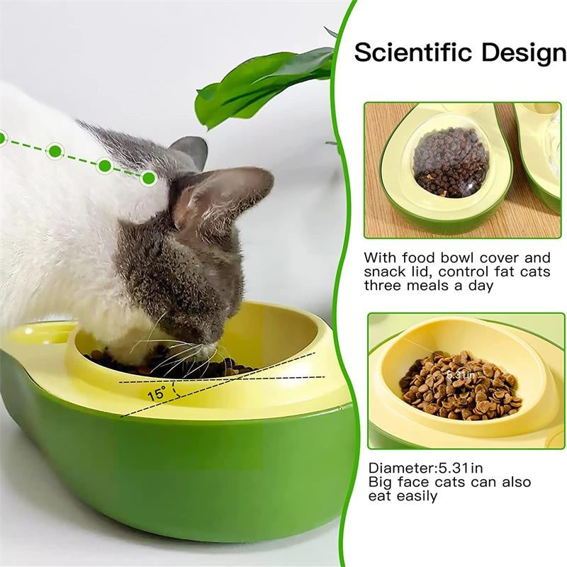 Automatic Water Dispenser and Feeder for Pet