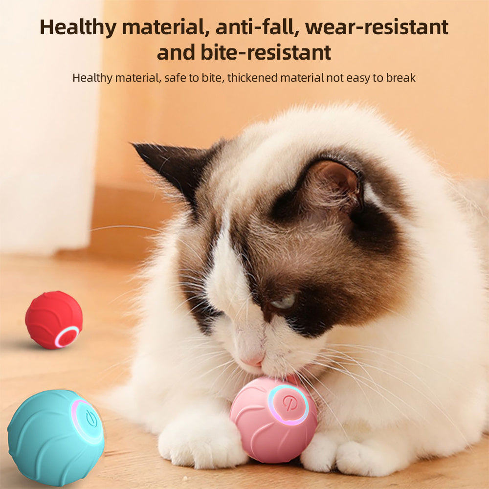 Automatic Bouncing Pet Ball Toy
