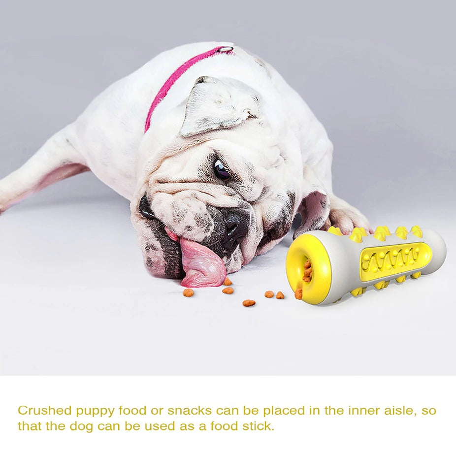 Squeaky Toys For Aggressive Chewer Pets