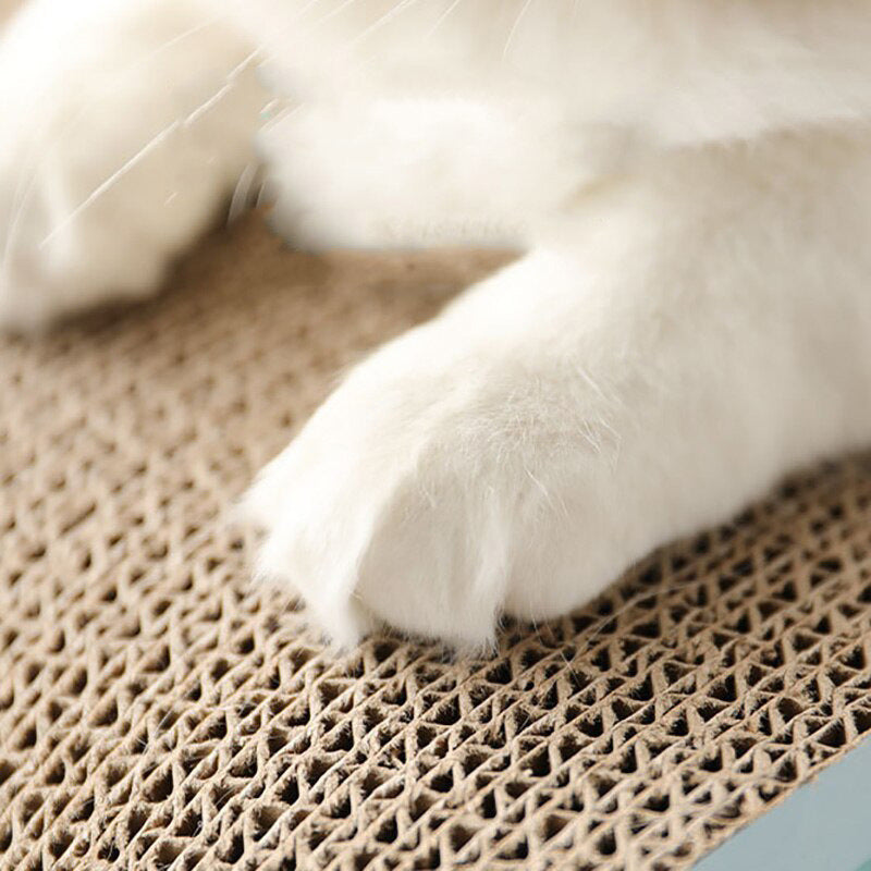 Pet Climbing Frame Scratching Toy