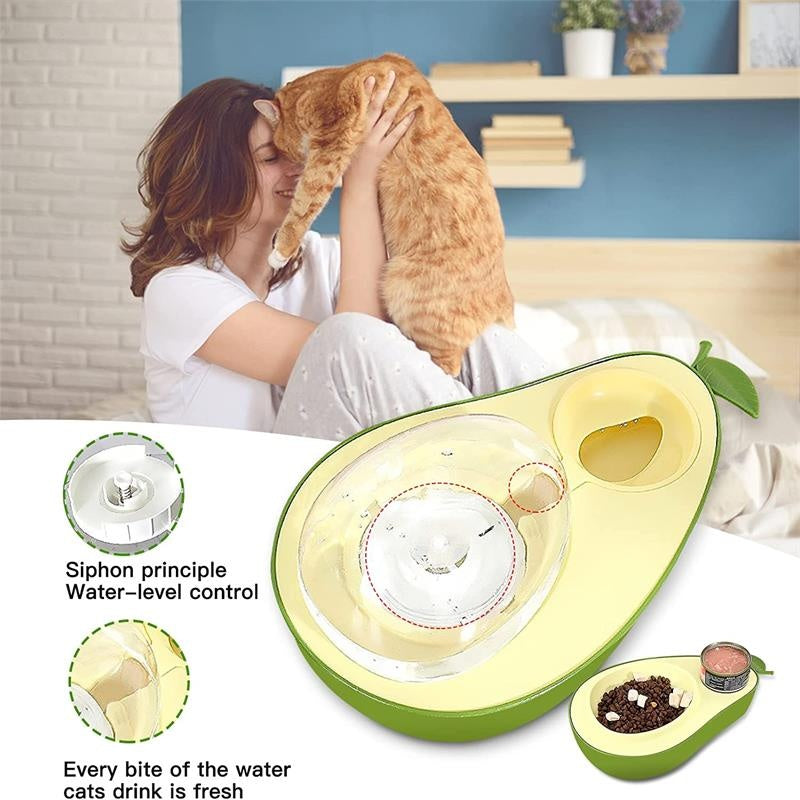 Automatic Water Dispenser and Feeder for Pet