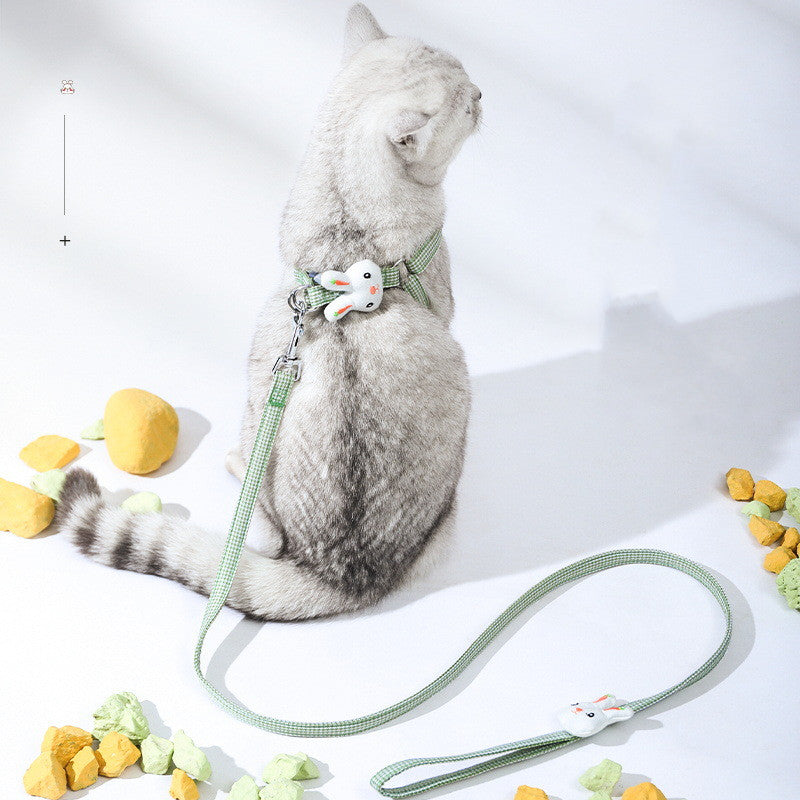 Preventive Safety Leash for Pet