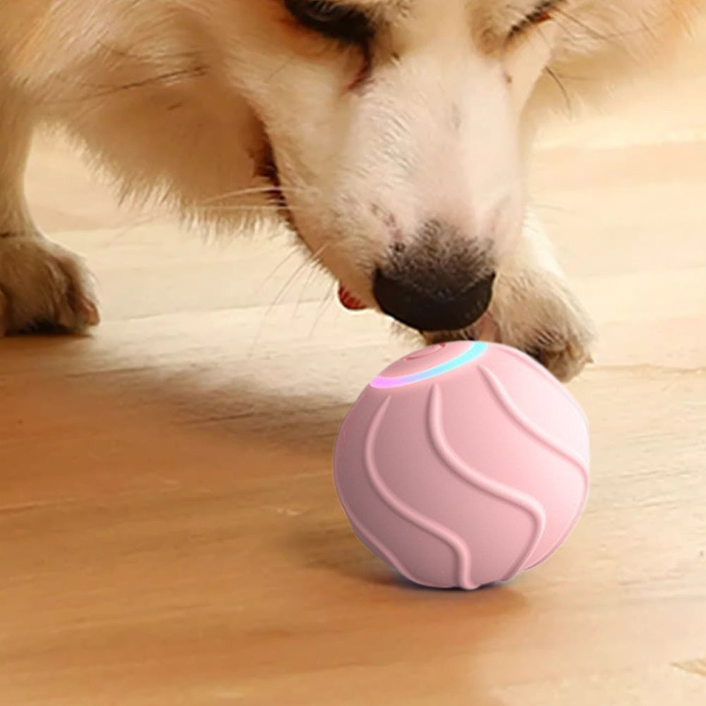 Automatic Bouncing Pet Ball Toy