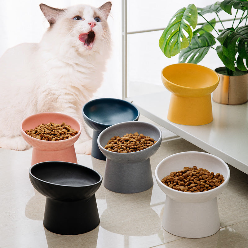 Oblique Rim Elevated Candy Color Bowl for Pet