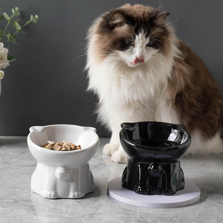 Cute Black Ceramic Elevated Drinking Bowl for Pet