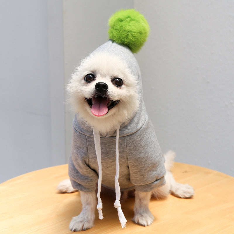 Autumn Cartoon Sweater Clothes For Pets