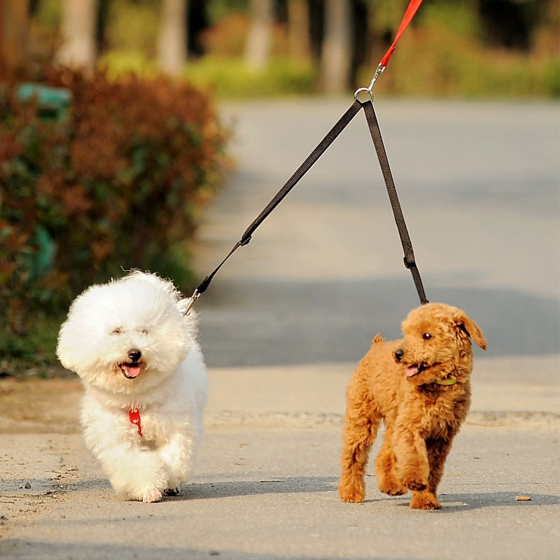 Double Twin Walking Leash for Pet