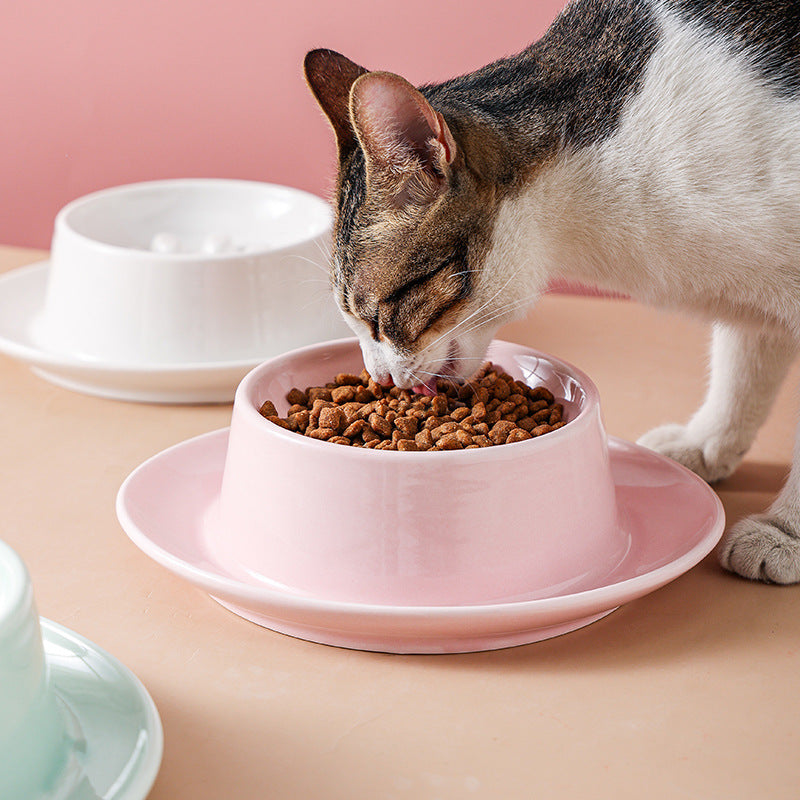 Anti-Choking Slow Feeding Bowl for Pet