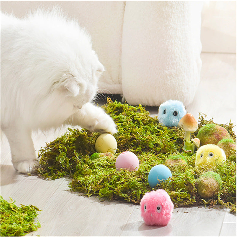 Light-Up Interactive Pet Teasing Ball