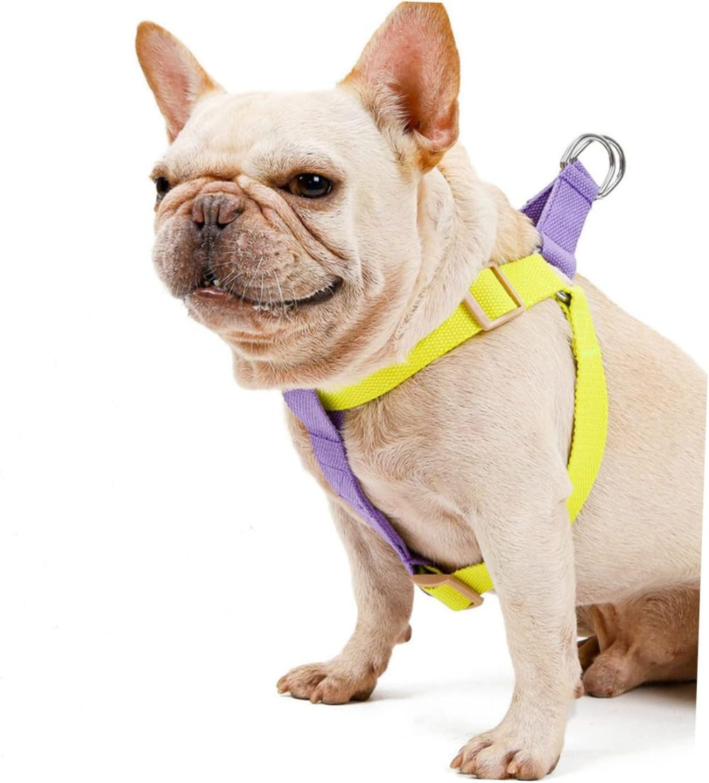 Nylon Pet Leashes For Small & French Bulldog