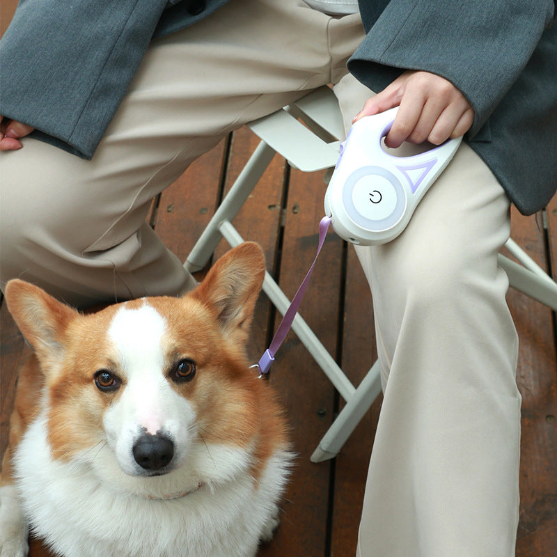 Retractable Leash with Collar Spotlight for Pet