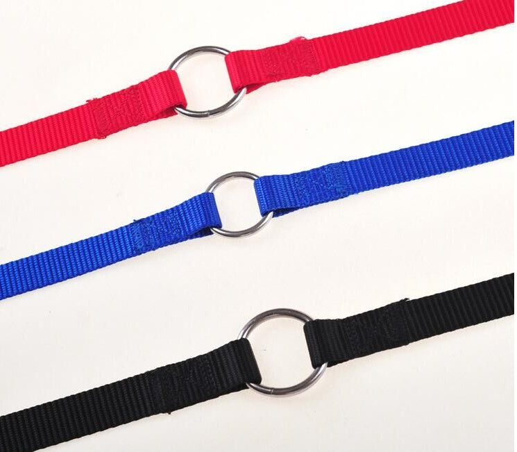 Double Twin Walking Leash for Pet