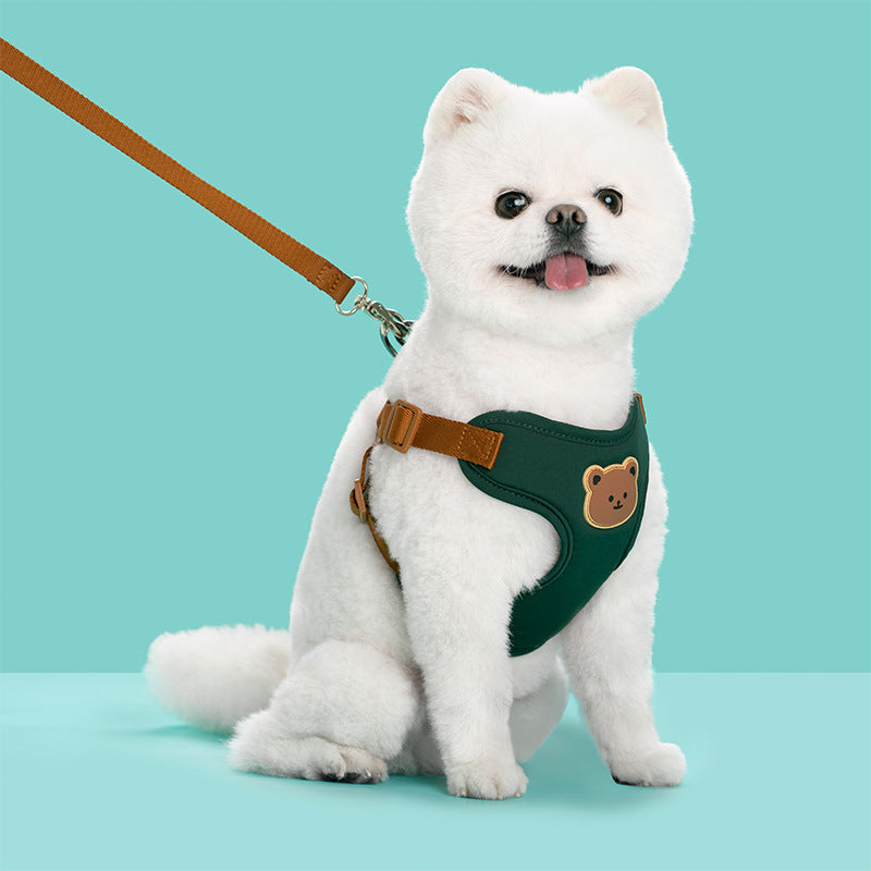 Pet Outing Leash and Strap