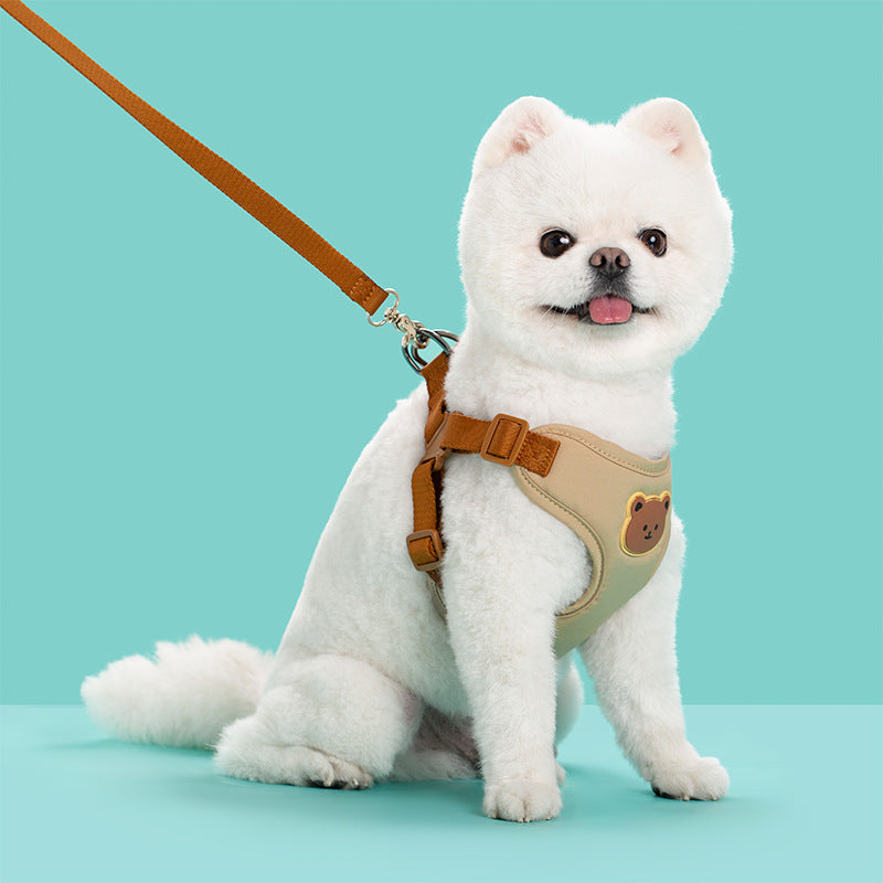 Pet Outing Leash and Strap