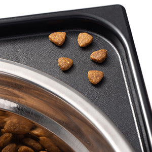 Pet Lifting Feeding Bowl with Neck Protection