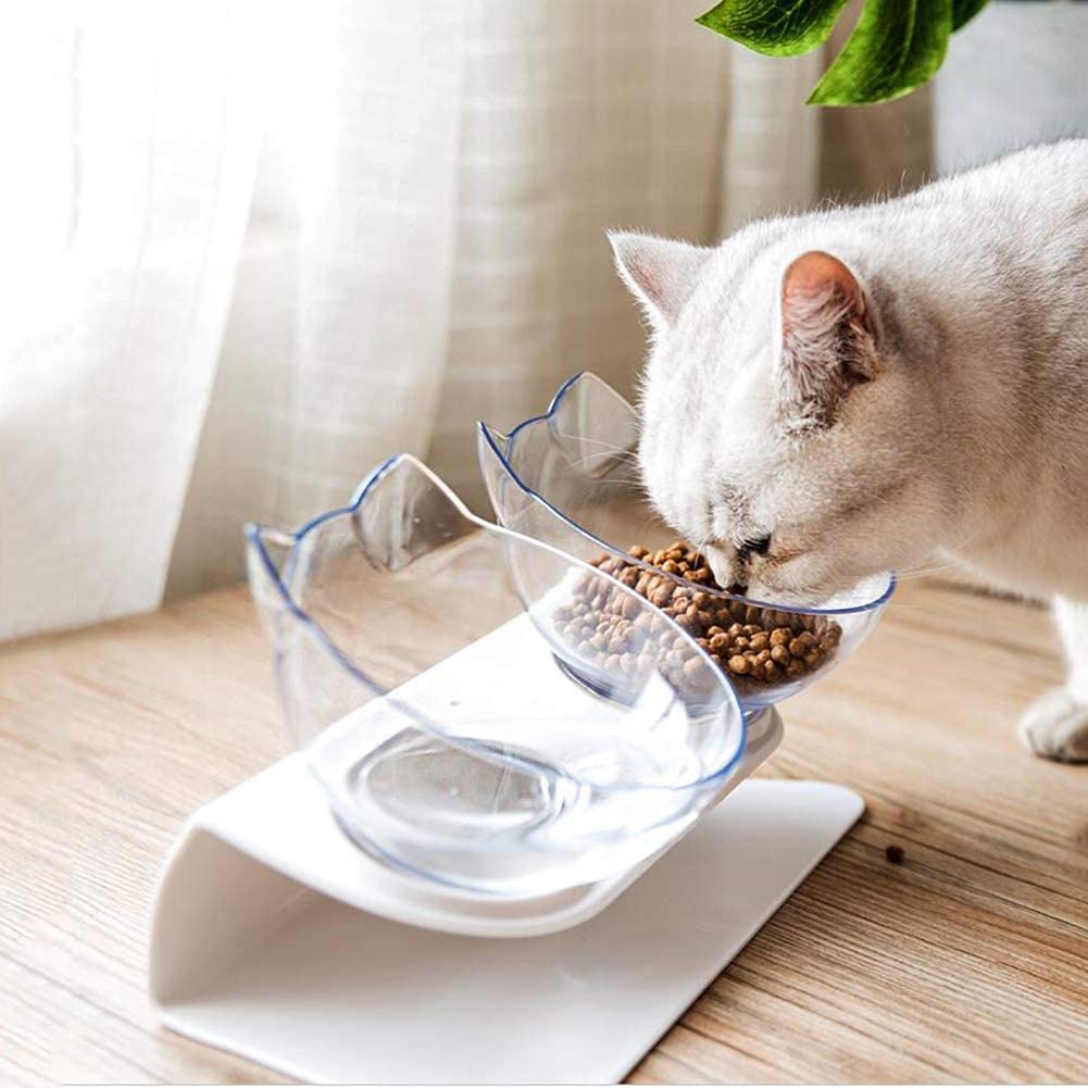 Non-Slip Elevated Double Feeding Bowl for Pet