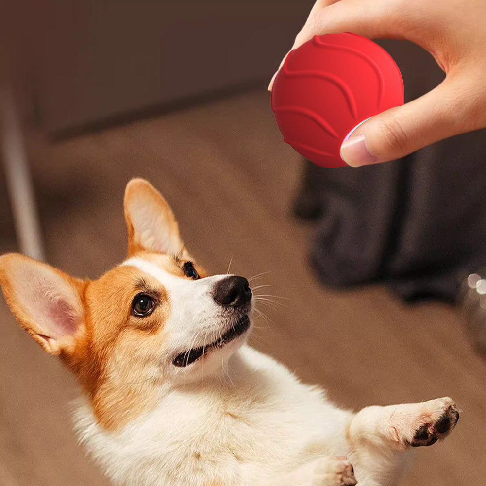 Automatic Bouncing Pet Ball Toy