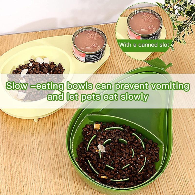 Automatic Water Dispenser and Feeder for Pet
