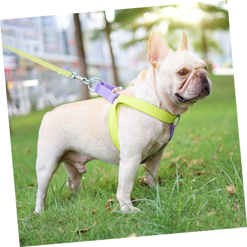 Nylon Pet Leashes For Small & French Bulldog