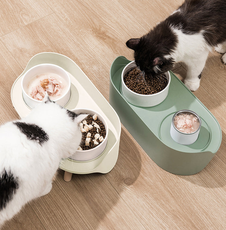 Tilted Double Feeding Bowls for Pet with Neck Protection