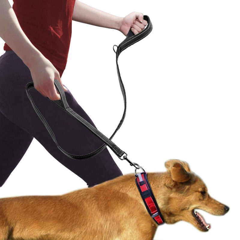 Double Handle Pull Leash for Pet