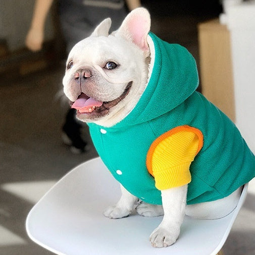 Warm Winter Cotton Pet Dress