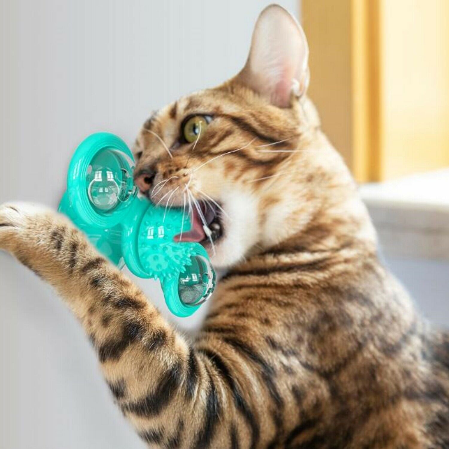 New Windmill Rotating Interactive Pet Toy