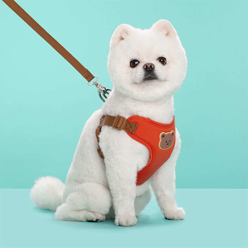 Pet Outing Leash and Strap