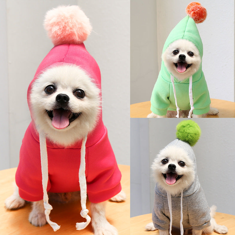 Autumn Cartoon Sweater Clothes For Pets
