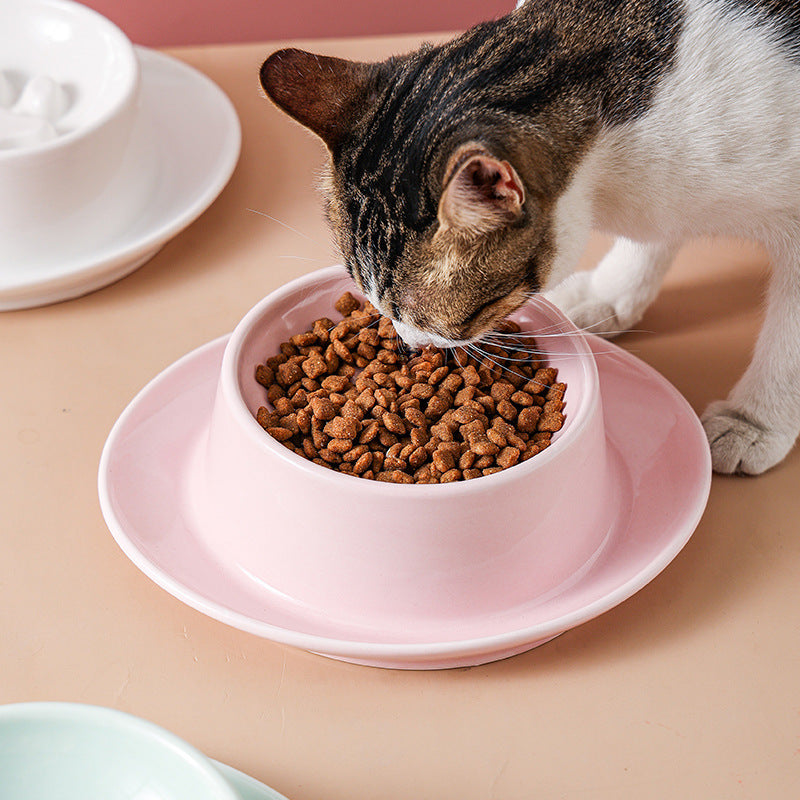 Anti-Choking Slow Feeding Bowl for Pet