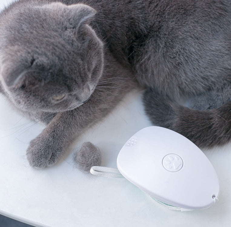 White Pet Hair Grooming Brush