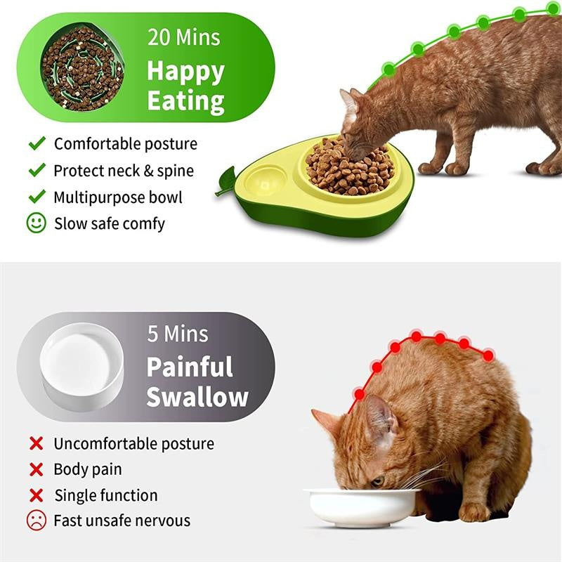 Automatic Water Dispenser and Feeder for Pet