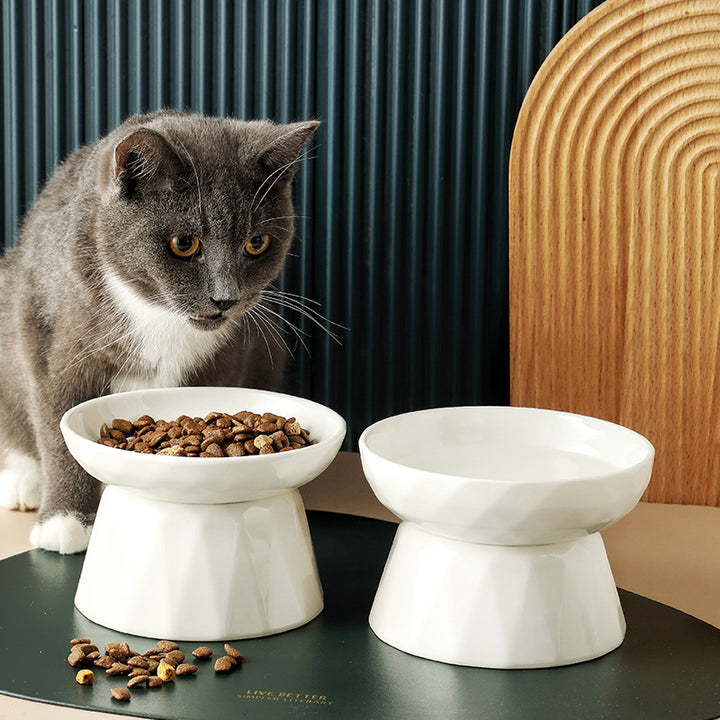 Spine-Friendly Feeding Bowl for Pet