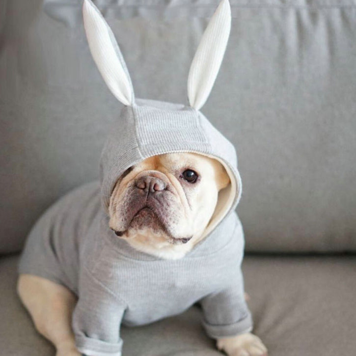 Knitted Sweater With Rabbit Ears Costume For Small Pets