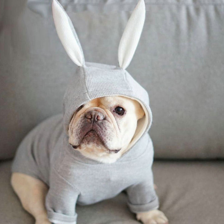 Knitted Sweater With Rabbit Ears Costume For Small Pets