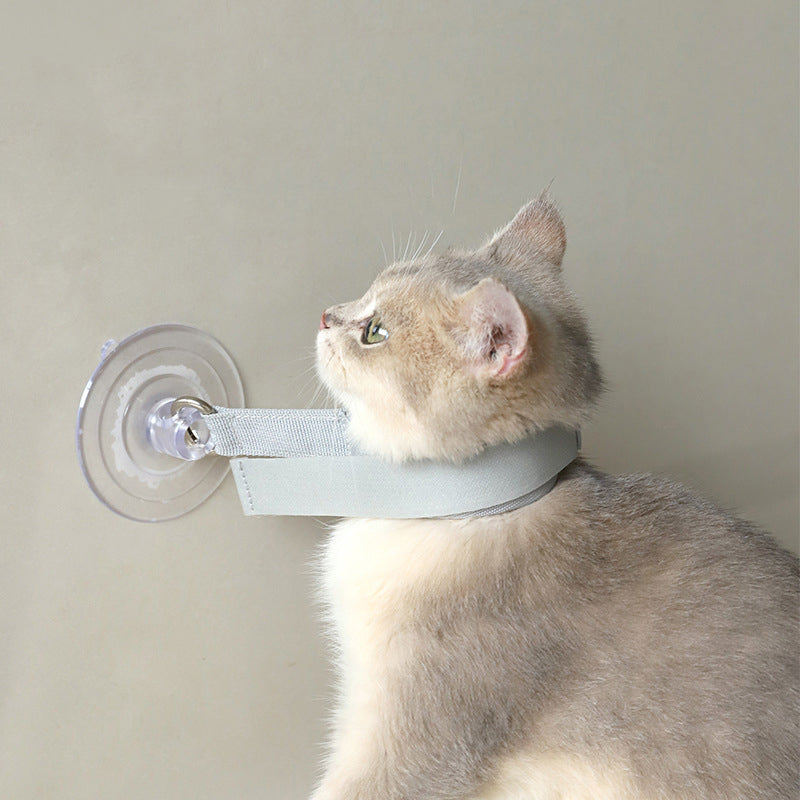 Pet Bath Neck Collar Accessories