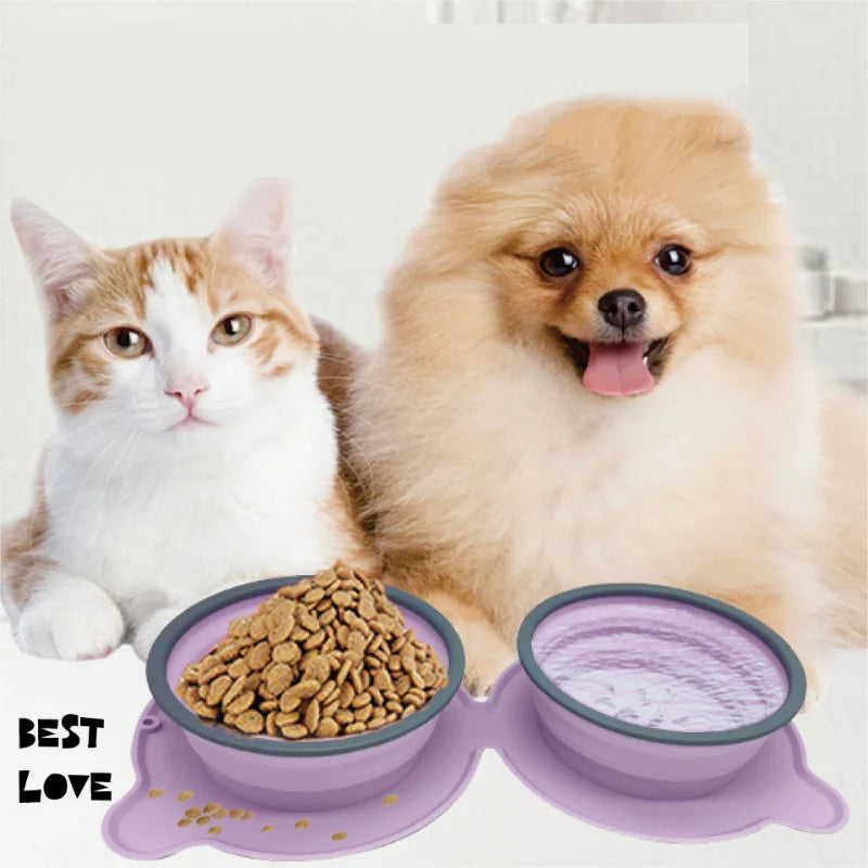 Portable Silicone Double Feeding Bowls for Pet