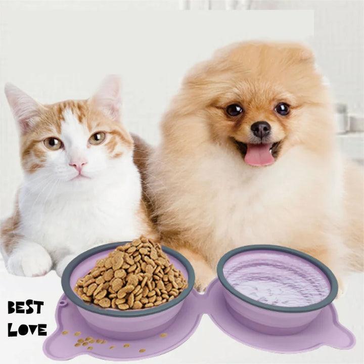 Portable Silicone Double Feeding Bowls for Pet