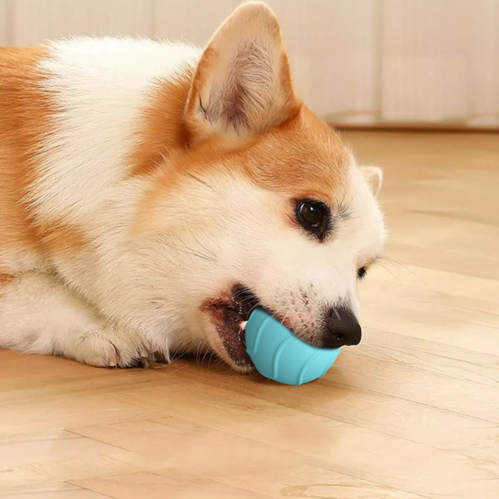 Automatic Bouncing Pet Ball Toy