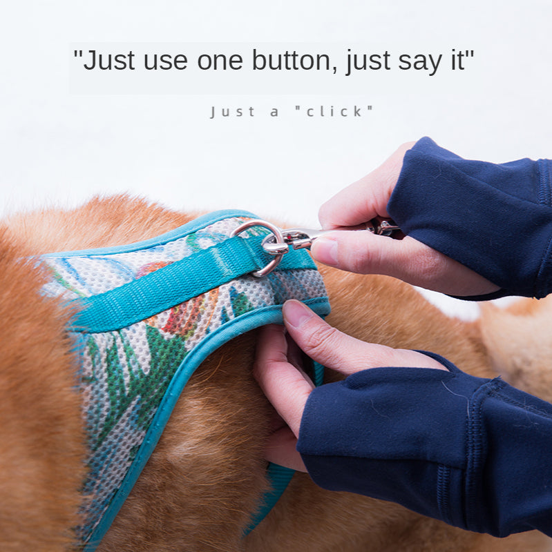 Hands-Free Running Leash for Pet