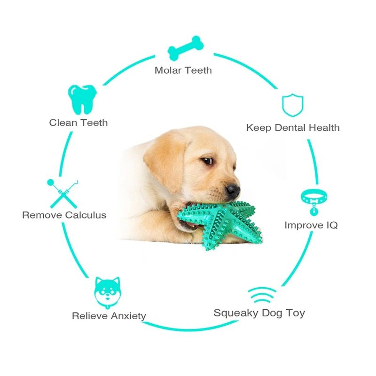 Tooth Cleaning Chew Funny Interactive Pet Toy