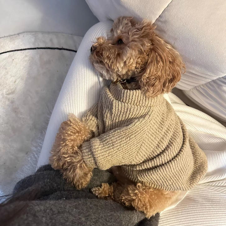 Sweater Pullover Clothes For Pets
