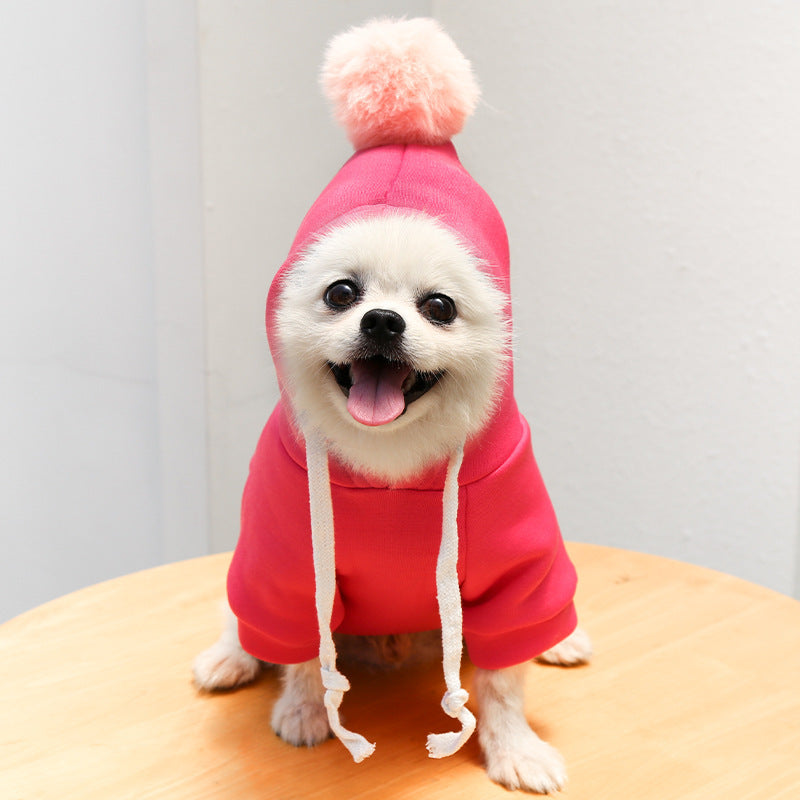 Autumn Cartoon Sweater Clothes For Pets