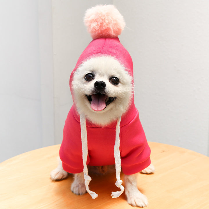 Autumn Cartoon Sweater Clothes For Pets