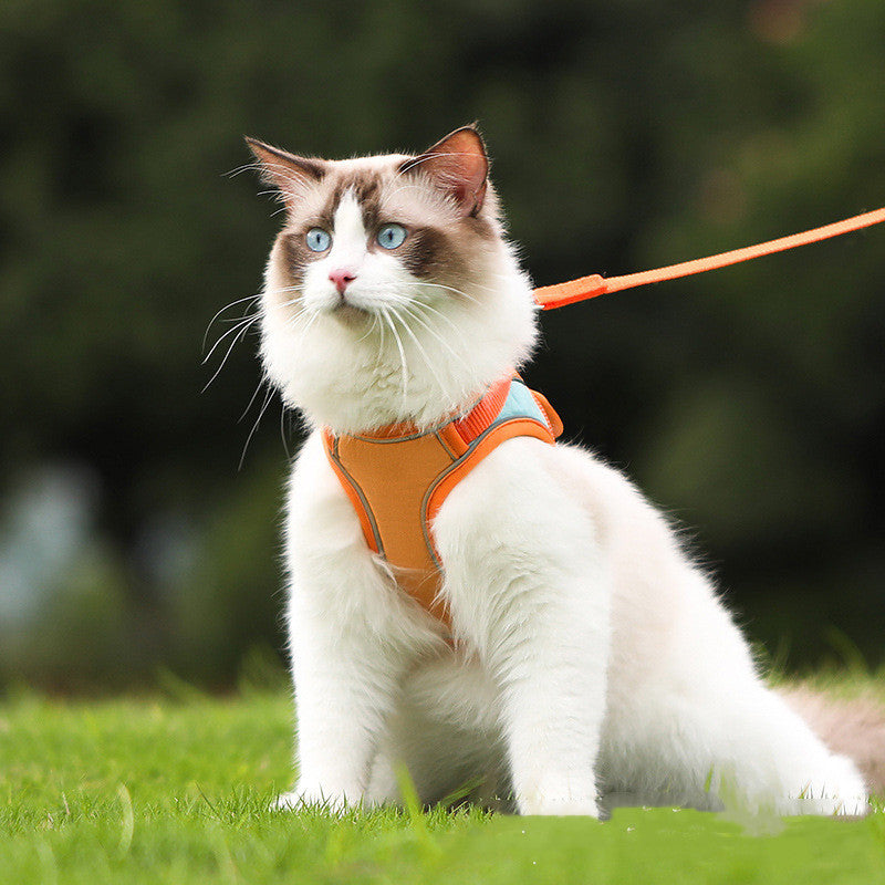 Reflective Anti-Escape Harness Leash for Pet