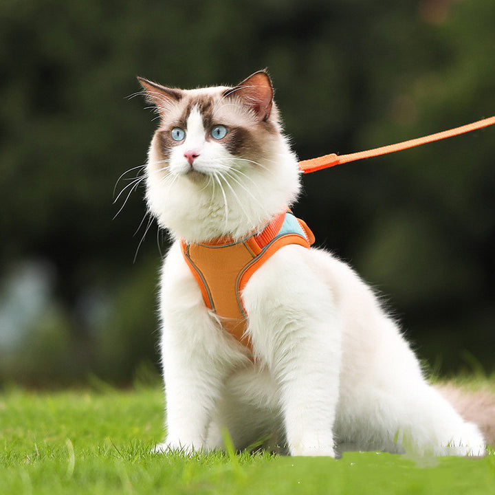 Reflective Anti-Escape Harness Leash for Pet