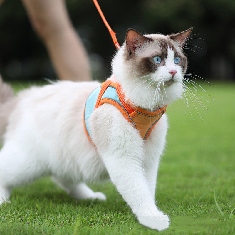 Reflective Anti-Escape Harness Leash for Pet