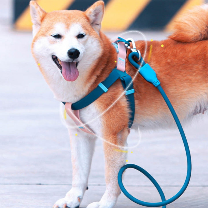 Handheld Outing Leash for Pet
