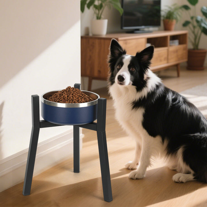 Adjustable Width Pet Bowl With Stand