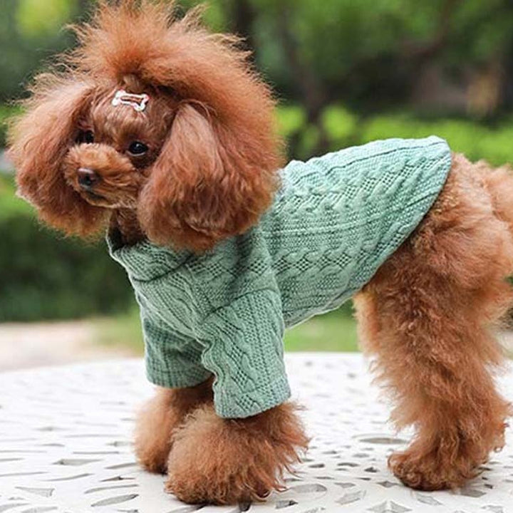 Pure Color Knitted Autumn And Winter Sweater For Pets